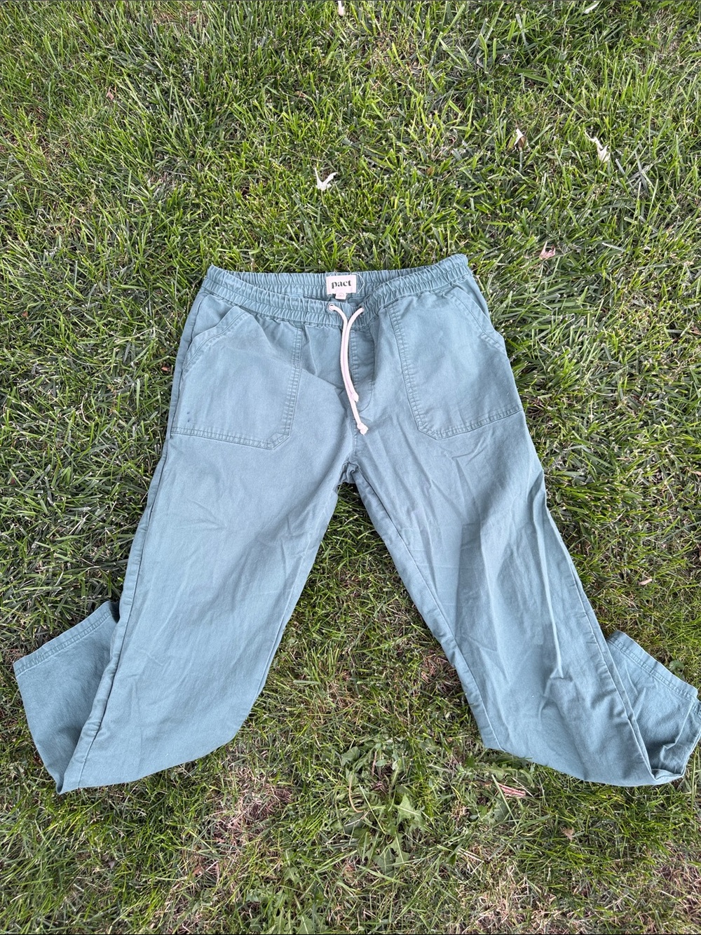Pact Men's Sage Green Drawstring Joggers